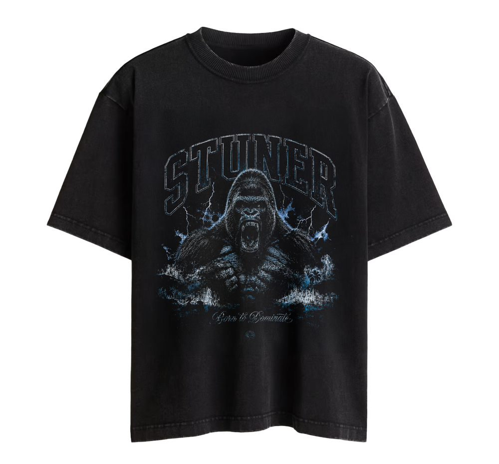 SCW 245 Noise Tee