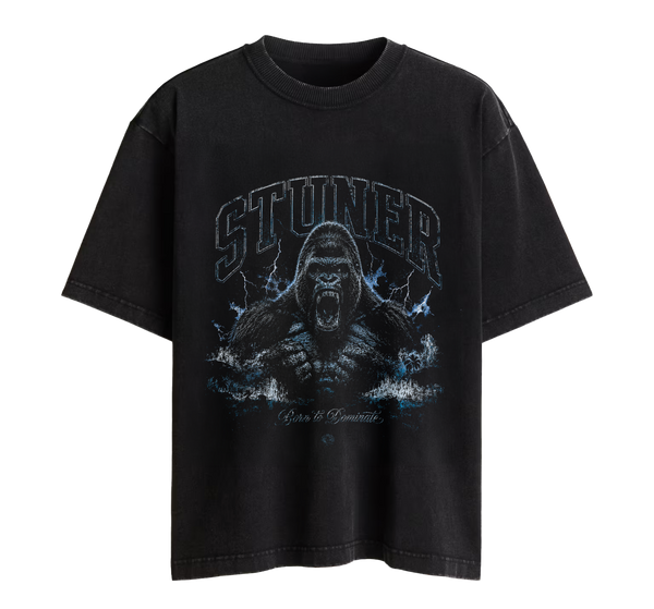 SCW 245 Noise Tee